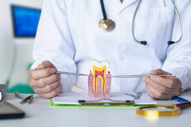 Best Cracked Tooth Emergency Dentist  in Manistique, MI